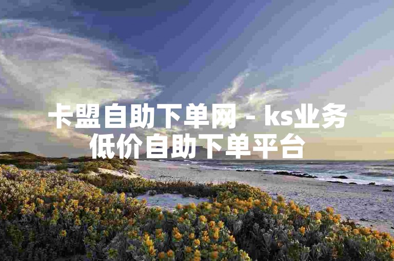 卡盟自助下单网 - ks业务低价自助下单平台