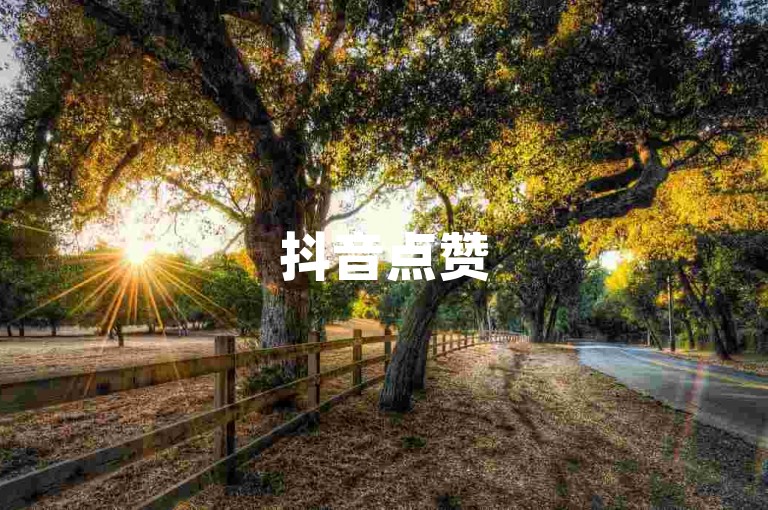 抖音点赞50个赞网站支付宝付款(支付宝支付购买50个抖音点赞)