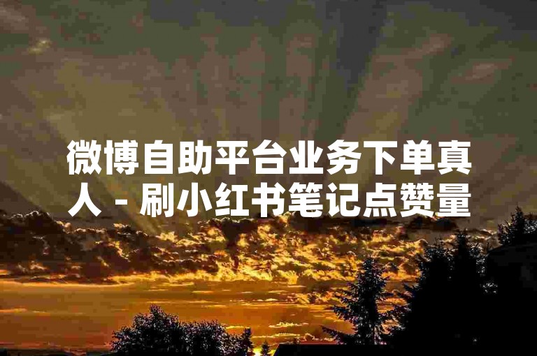 微博自助平台业务下单真人 - 刷小红书笔记点赞量，小红书评论赞真人互动 - 实惠粉自助下单