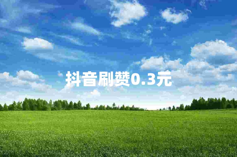 抖音刷赞0.3元50个 - 实惠型快手涨粉服务平台