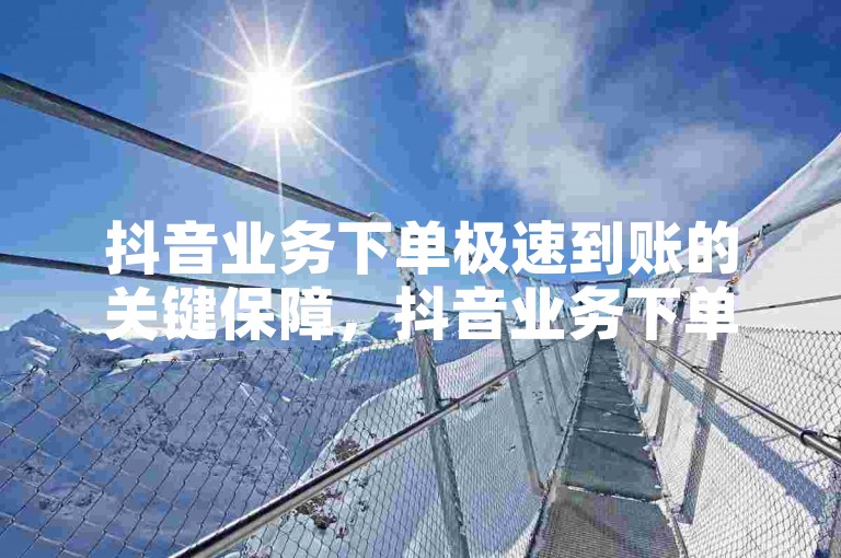 抖音业务下单极速到账的关键保障，抖音业务下单实时到账！新手必备！