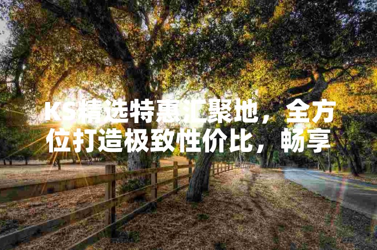 KS精选特惠汇聚地，全方位打造极致性价比，畅享无忧购物体验。