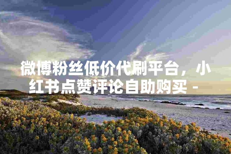 微博粉丝低价代刷平台，小红书点赞评论自助购买 - 抖音直播人气快速提升服务 - 拼多多砍价助力在线接单