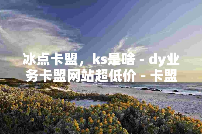 冰点卡盟，ks是啥 - dy业务卡盟网站超低价 - 卡盟24小时下单平台快手激情再起！