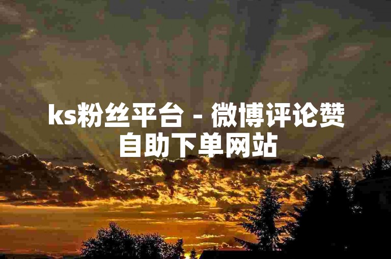ks粉丝平台 - 微博评论赞自助下单网站