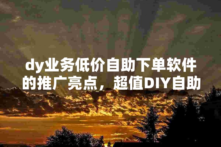 dy业务低价自助下单软件的推广亮点，超值DIY自助下单软件优惠价格标题！新手福音！