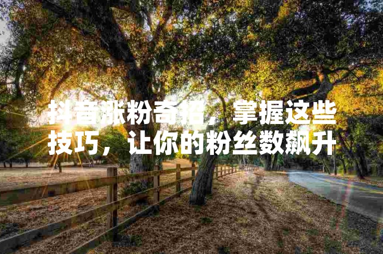 抖音涨粉奇招，掌握这些技巧，让你的粉丝数飙升！