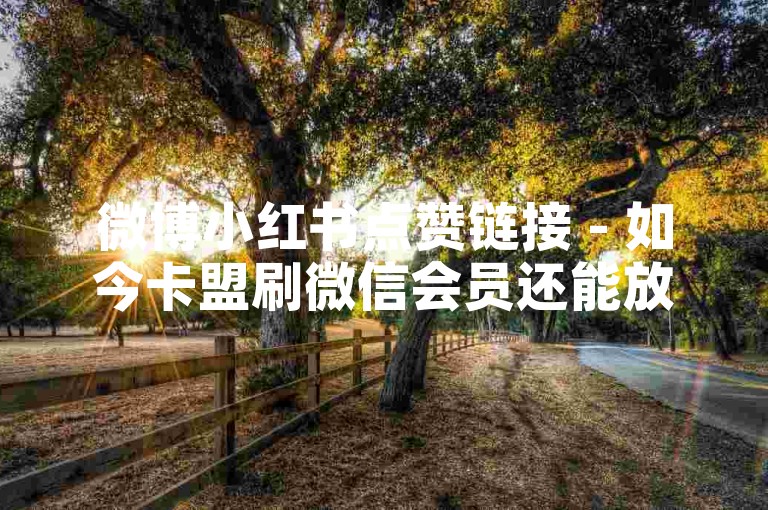 微博小红书点赞链接 - 如今卡盟刷微信会员还能放心吗