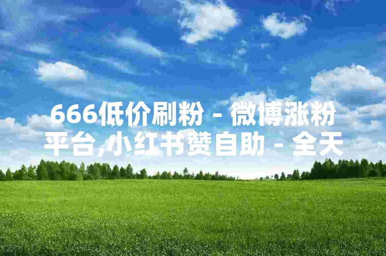 666低价刷粉 - 微博涨粉平台,小红书赞自助 - 全天随时自助下单平台