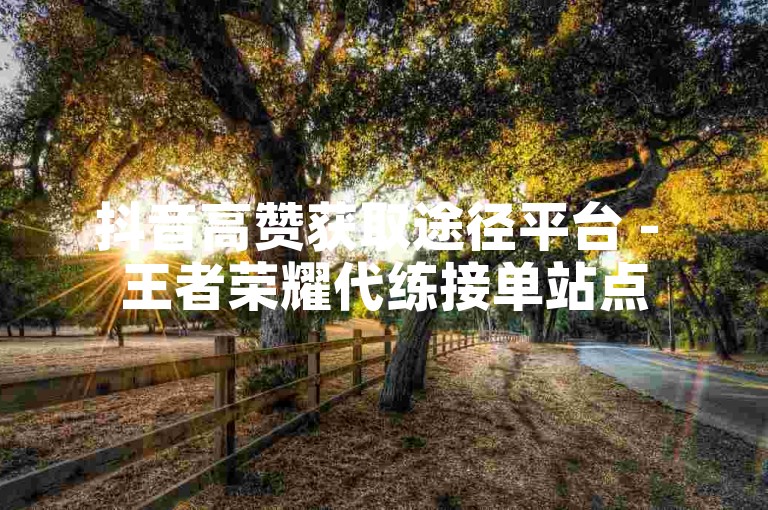 抖音高赞获取途径平台 - 王者荣耀代练接单站点
