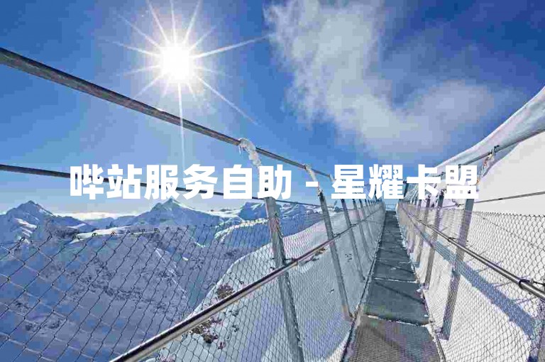 哔站服务自助 - 星耀卡盟
