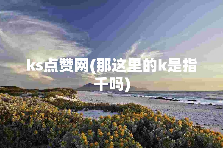 ks点赞网(那这里的k是指千吗)