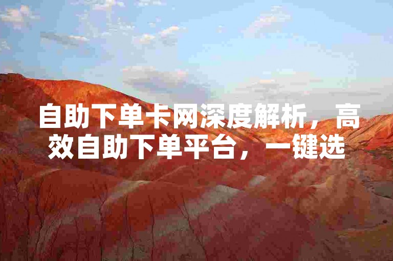 自助下单卡网深度解析，高效自助下单平台，一键选购自助卡，2024年必备技能！
