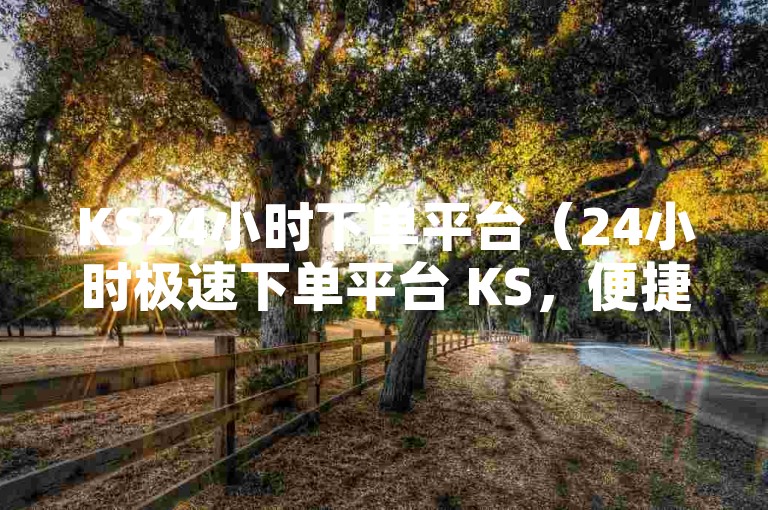 KS24小时下单平台（24小时极速下单平台 KS，便捷选购各类商品）
