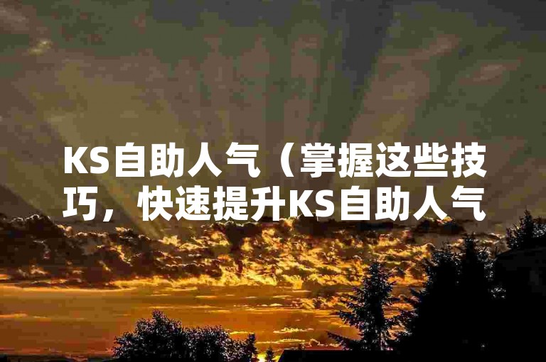 KS自助人气（掌握这些技巧，快速提升KS自助人气）