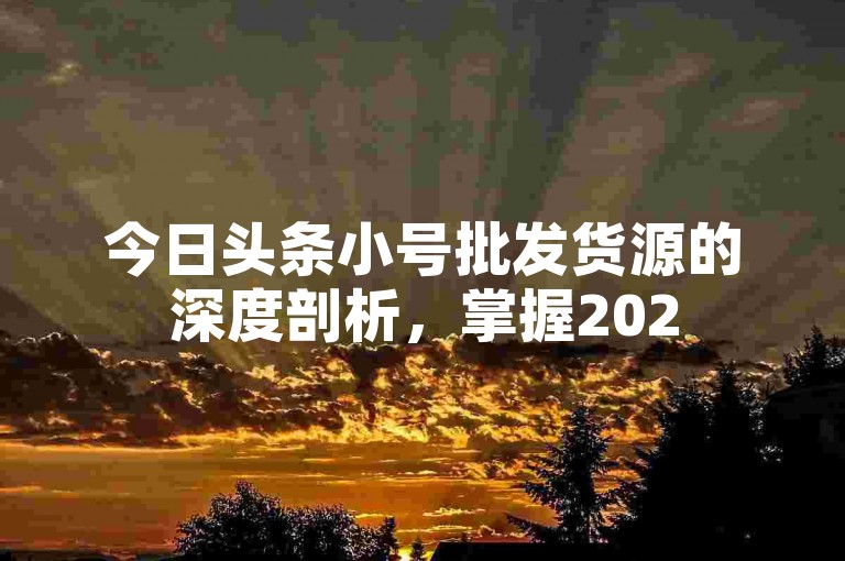 今日头条小号批发货源的深度剖析，掌握2025年今日头条小号批发的核心技巧！