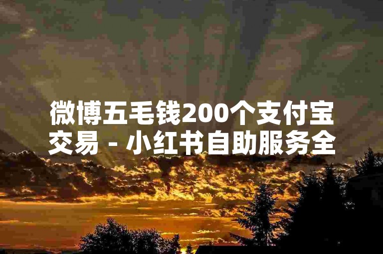 微博五毛钱200个支付宝交易 - 小红书自助服务全平台最优