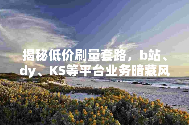 揭秘低价刷量套路，b站、dy、KS等平台业务暗藏风险，莫为虚量陷违规困境！