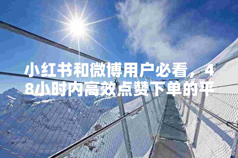 小红书和微博用户必看，48小时内高效点赞下单的平台推荐！