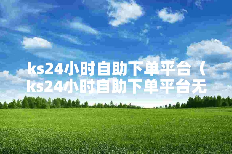 ks24小时自助下单平台（ks24小时自助下单平台无需付费）