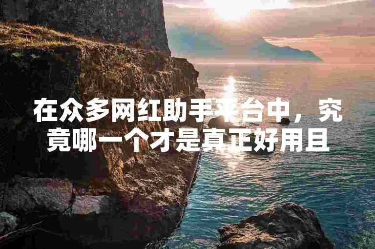 在众多网红助手平台中，究竟哪一个才是真正好用且实用的呢？