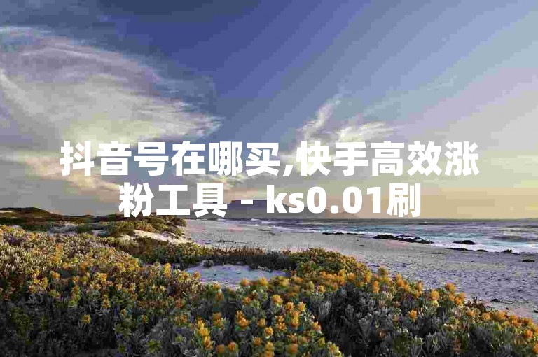 抖音号在哪买,快手高效涨粉工具 - ks0.01刷500 - 1元微信会员链接
