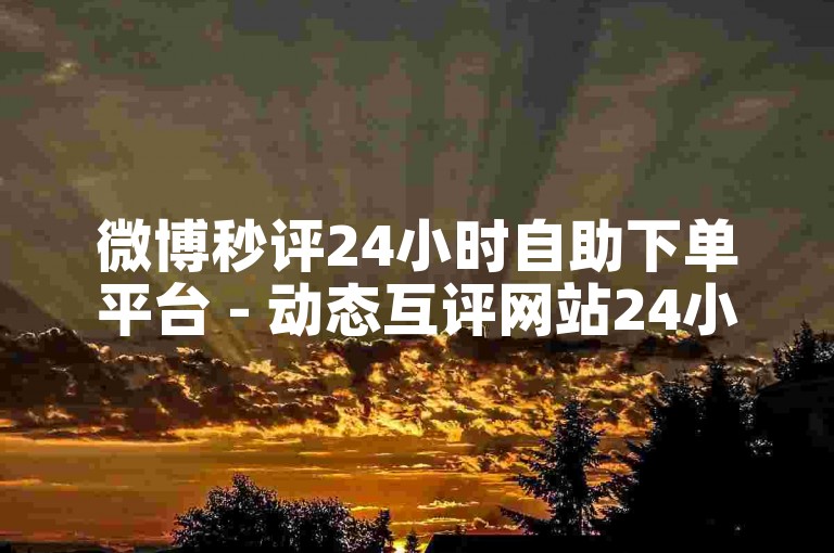 微博秒评24小时自助下单平台 - 动态互评网站24小时