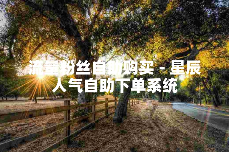 流量粉丝自助购买 - 星辰人气自助下单系统