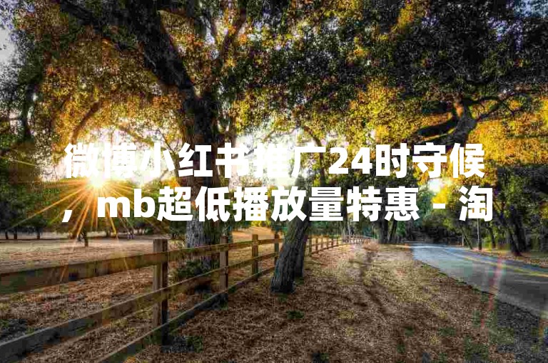 微博小红书推广24时守候，mb超低播放量特惠 - 淘宝助力特惠5分钱15次 - 朋友圈评论赞真实点赞随时有