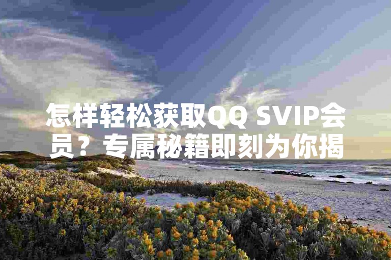 怎样轻松获取QQ SVIP会员？专属秘籍即刻为你揭晓！