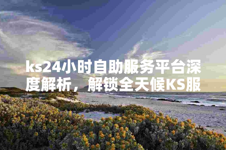 ks24小时自助服务平台深度解析，解锁全天候KS服务新功能，2024年不容错过！
