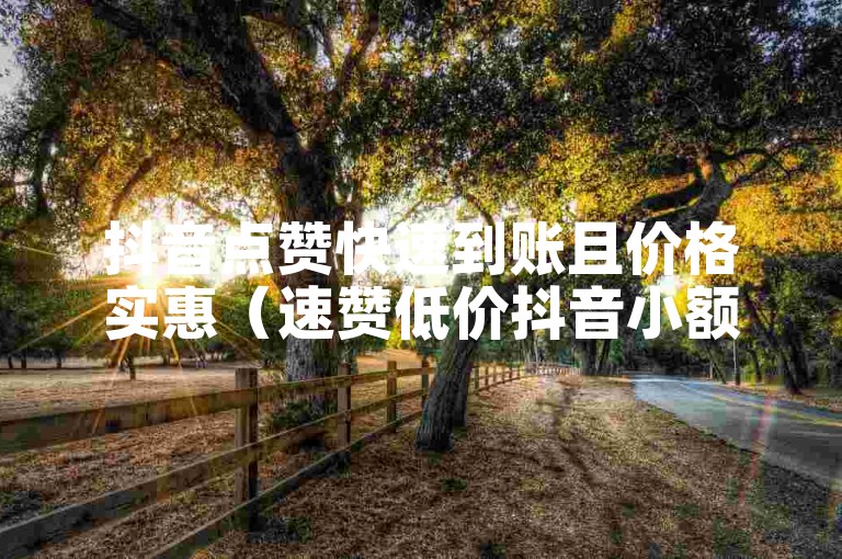 抖音点赞快速到账且价格实惠（速赞低价抖音小额借贷）