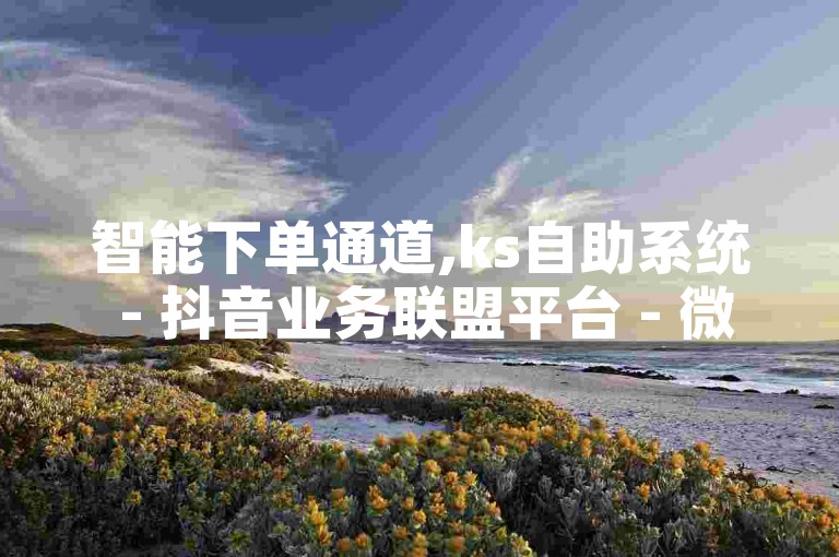 智能下单通道,ks自助系统 - 抖音业务联盟平台 - 微信自助服务全网最优实惠享不停!