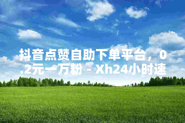 抖音点赞自助下单平台，0.2元一万粉 - Xh24小时速刷业务中心 - 酷狗音乐安装包