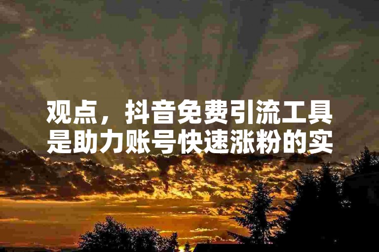观点，抖音免费引流工具是助力账号快速涨粉的实用之选。，抖音免费引流利器，助账号快速吸粉涨流