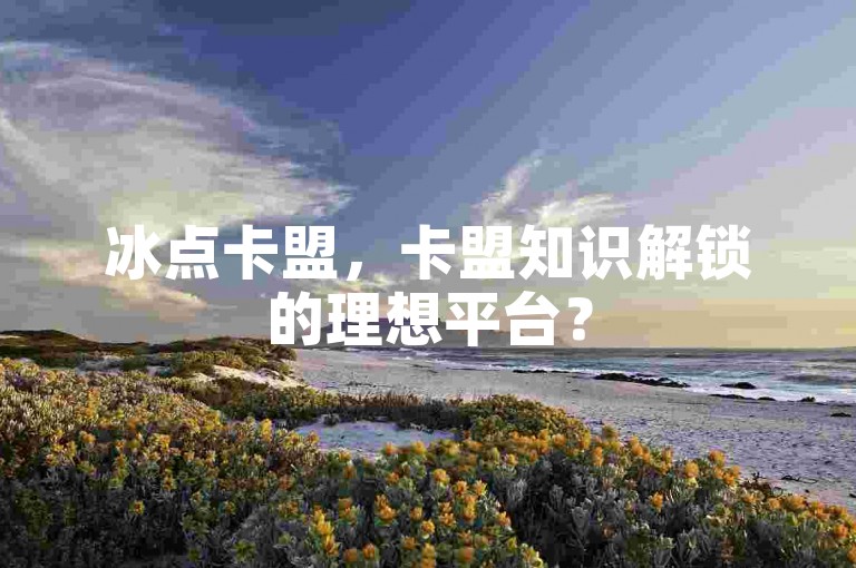 冰点卡盟，卡盟知识解锁的理想平台？