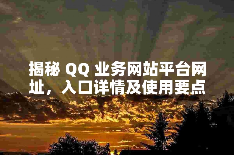 揭秘 QQ 业务网站平台网址，入口详情及使用要点详解