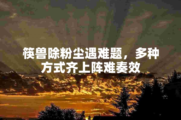 筷兽除粉尘遇难题，多种方式齐上阵难奏效