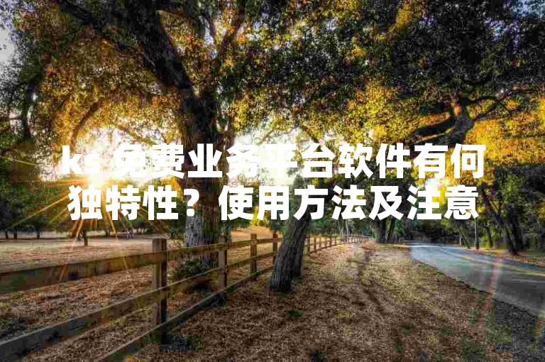ks 免费业务平台软件有何独特性？使用方法及注意事项详解