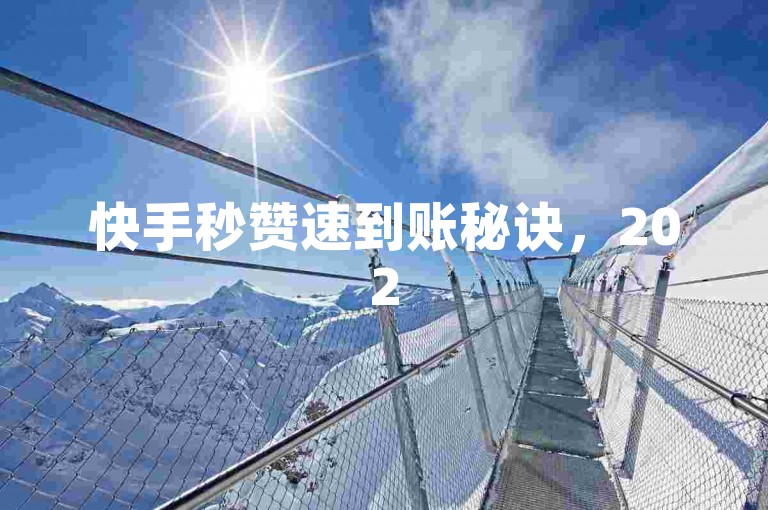 快手秒赞速到账秘诀，2025 必学心得大揭秘
