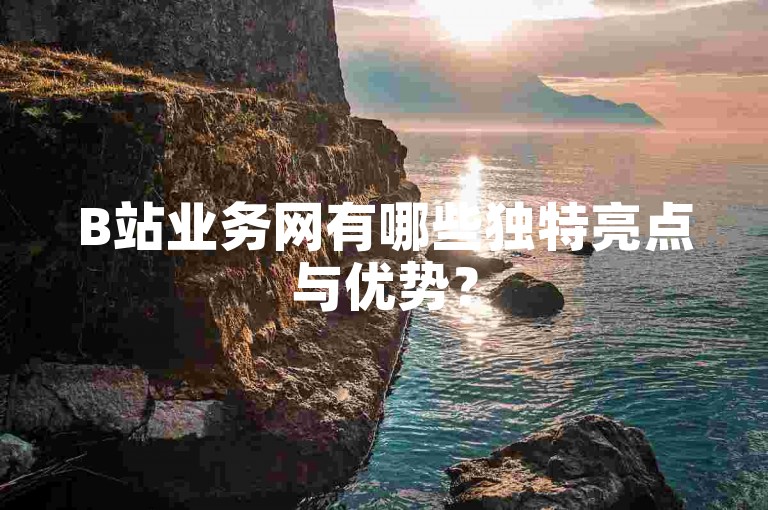B站业务网有哪些独特亮点与优势？