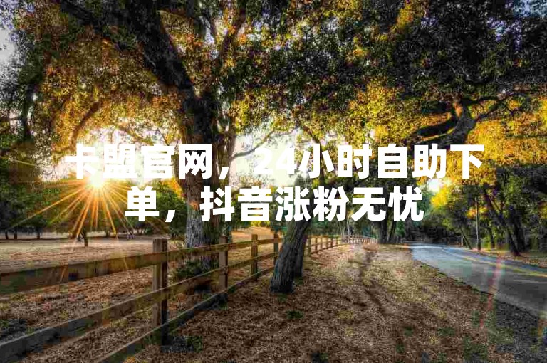 卡盟官网，24小时自助下单，抖音涨粉无忧