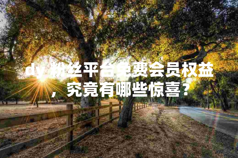 dy 粉丝平台免费会员权益，究竟有哪些惊喜？