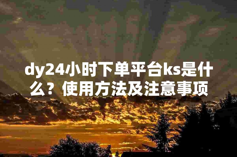 dy24小时下单平台ks是什么？使用方法及注意事项详解