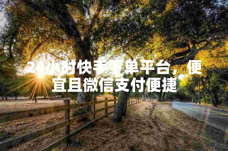 24小时快手下单平台，便宜且微信支付便捷