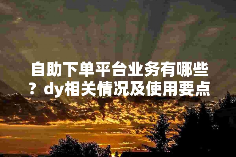 自助下单平台业务有哪些？dy相关情况及使用要点详解
