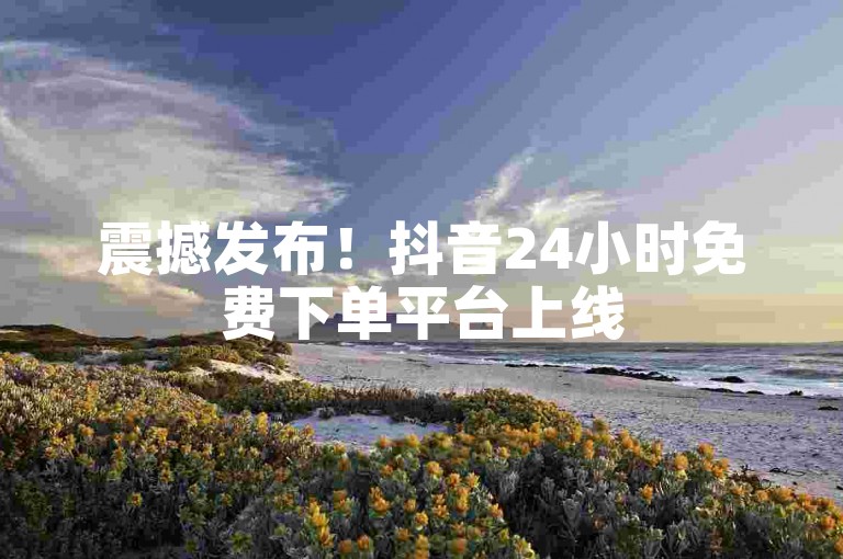 震撼发布！抖音24小时免费下单平台上线