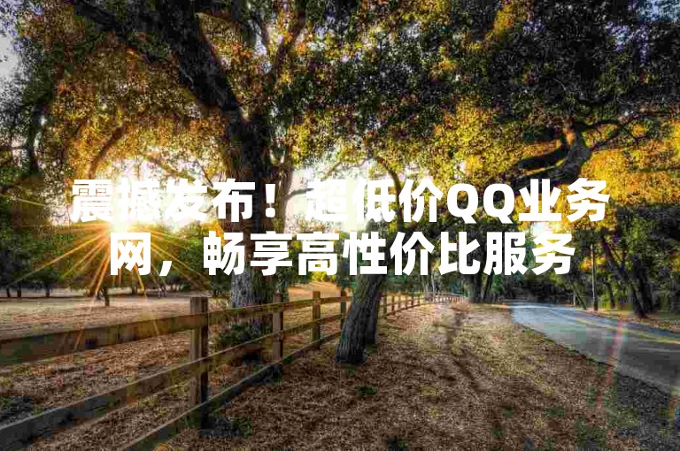 震撼发布！超低价QQ业务网，畅享高性价比服务