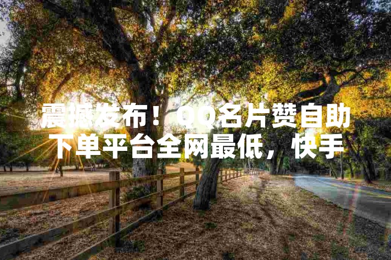 震撼发布！QQ名片赞自助下单平台全网最低，快手快刷新体验