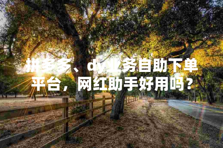 拼多多、dy业务自助下单平台，网红助手好用吗？
